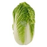 Fresh lettuce